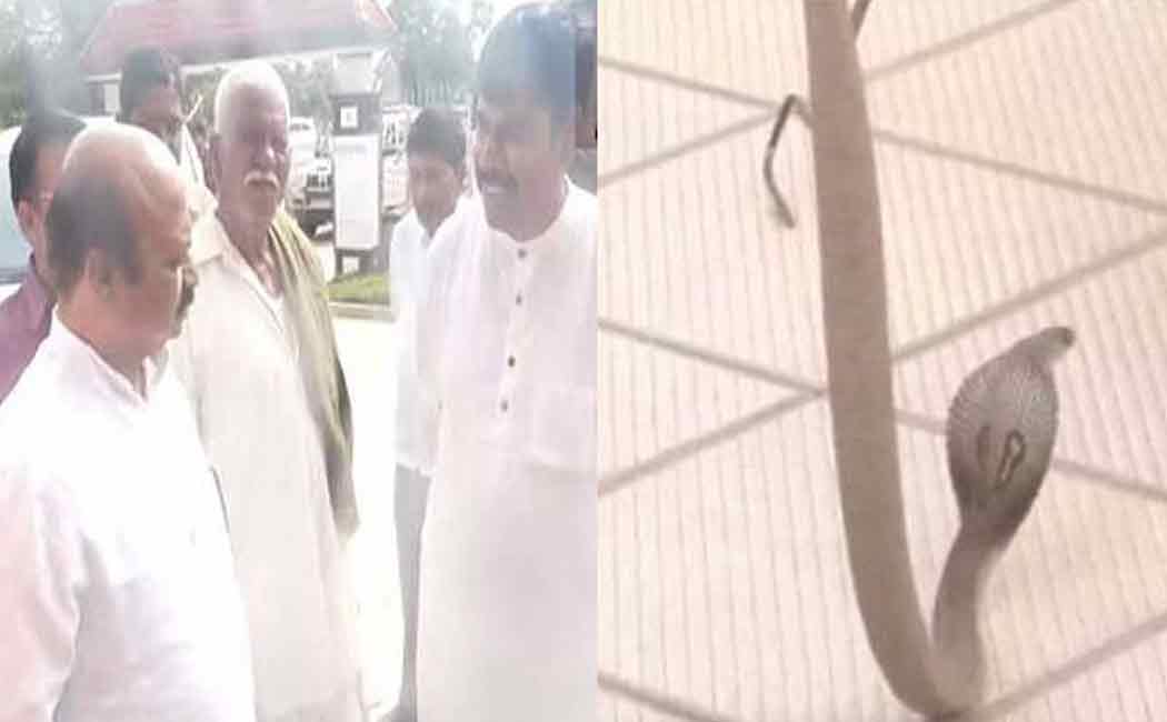 A cobra entered the BJP office