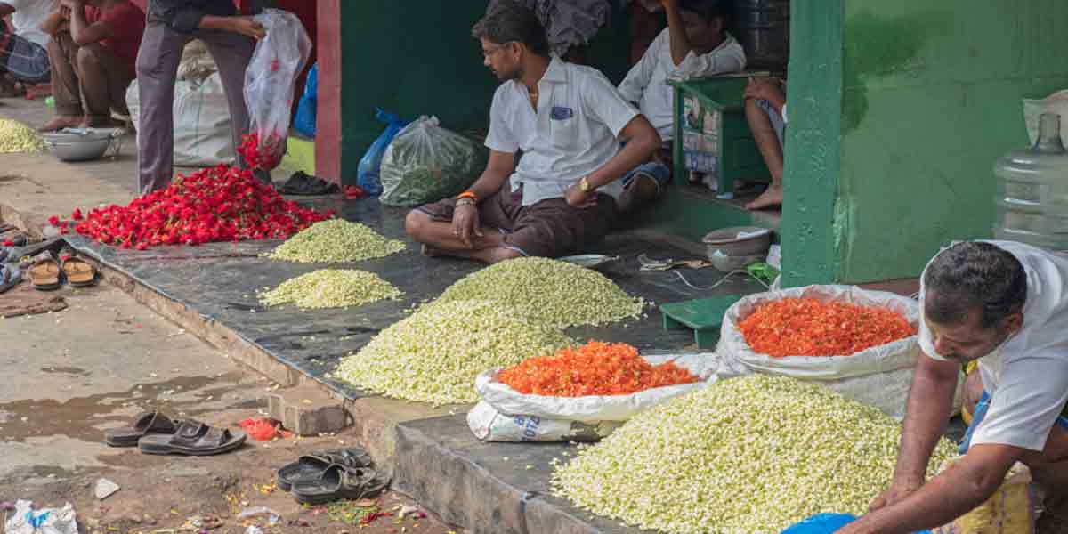 Flowers Price increase