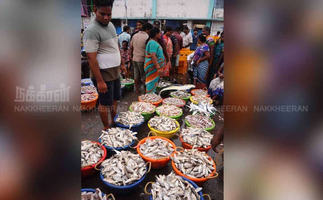 Kasimedu fish market