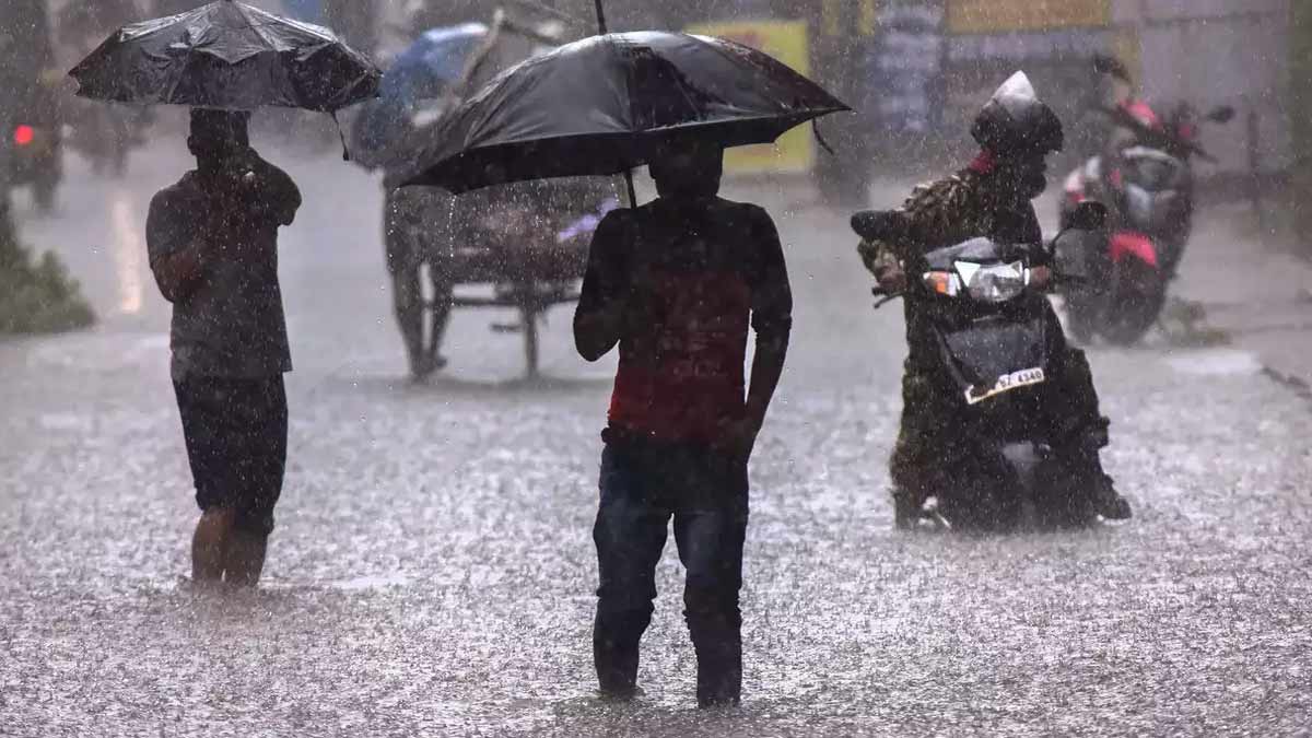 'Another Low Pressure Area' - Meteorological Center Information