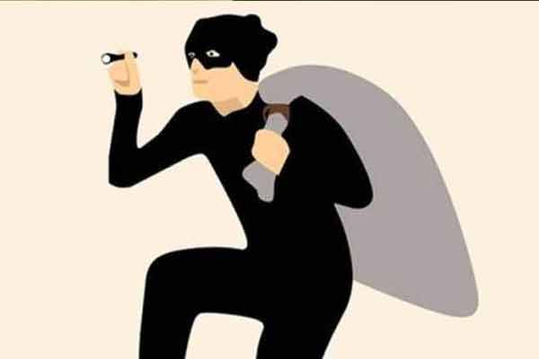 Thieves who change the root as the season deserves!