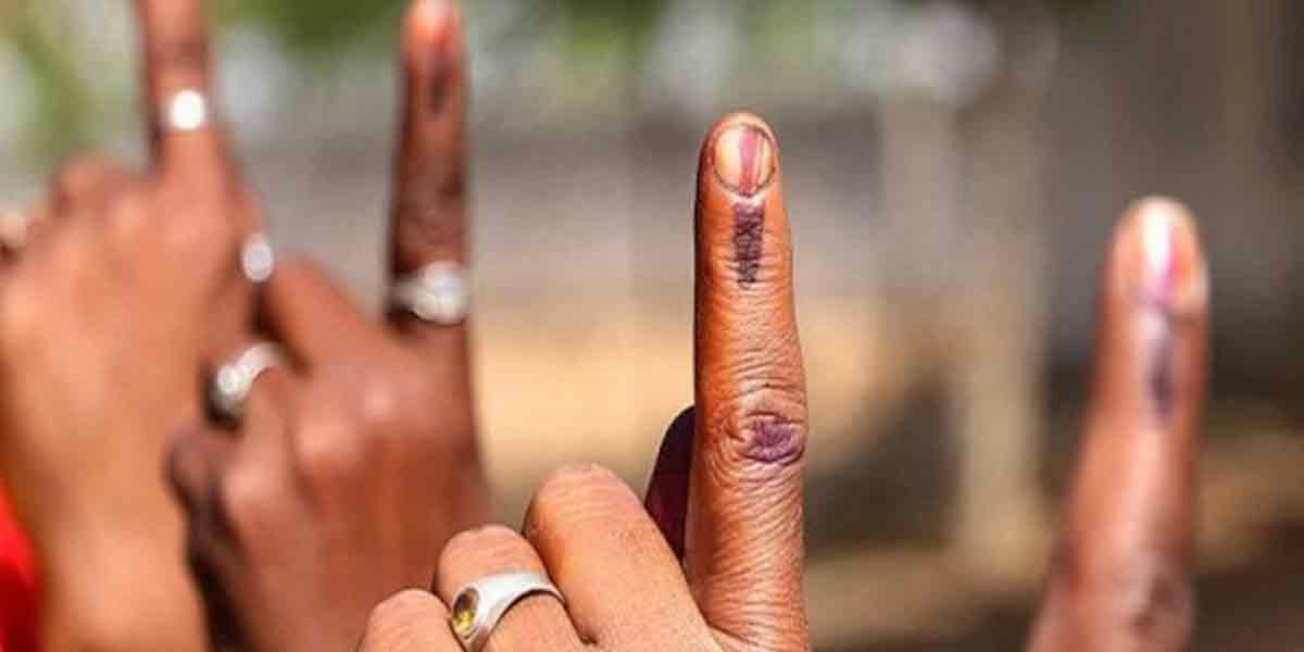 Local elections for 9 districts - Voter list released!