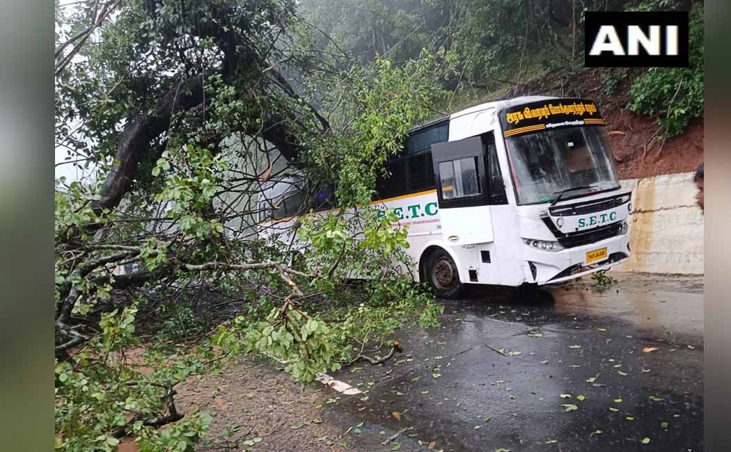 Continuous heavy rain; A government bus was damaged by a falling tree
