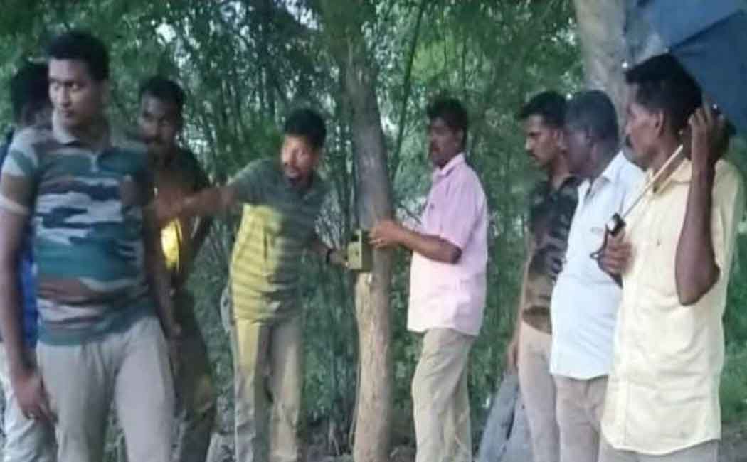 Leopard roaming with cubs ...people suffering from not being able to come out