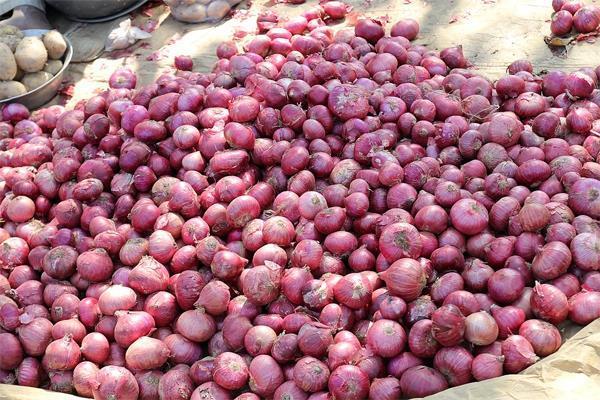 ONION EXPORT STOP UNION GOVERNMENT DECISION PRICE RAISED