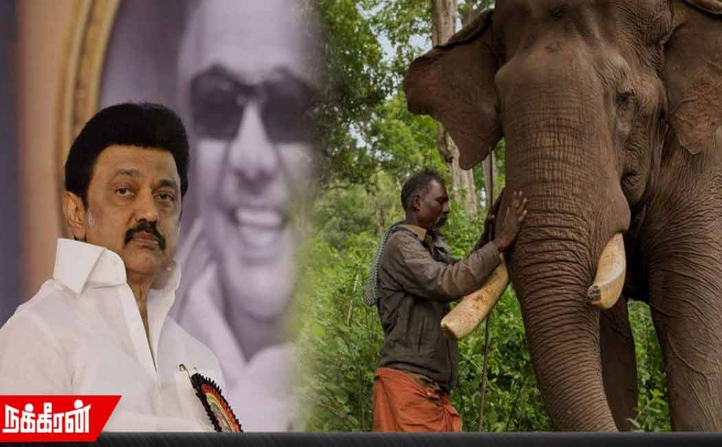 Notification of the Chief Minister; Elephant keepers in joy