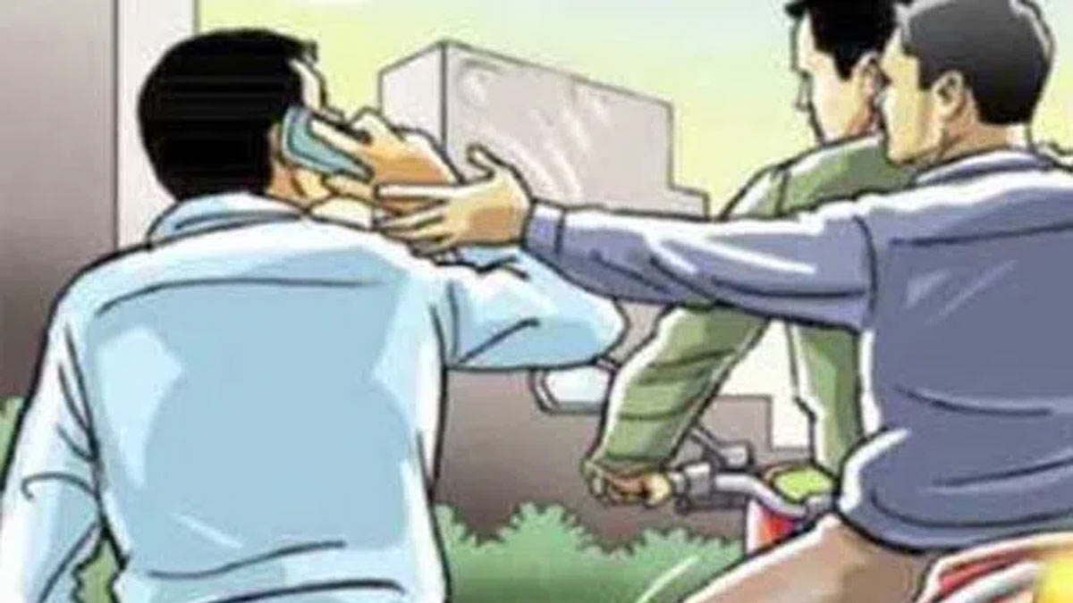 Passenger's cell phone stolen - caught by public
