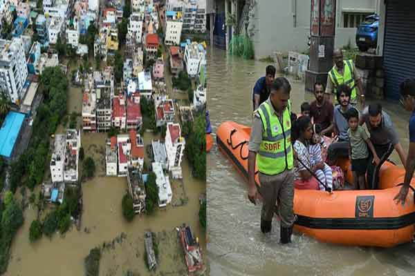 Heavy rains suddenly fell in Bangalore turned into a flooded jungle