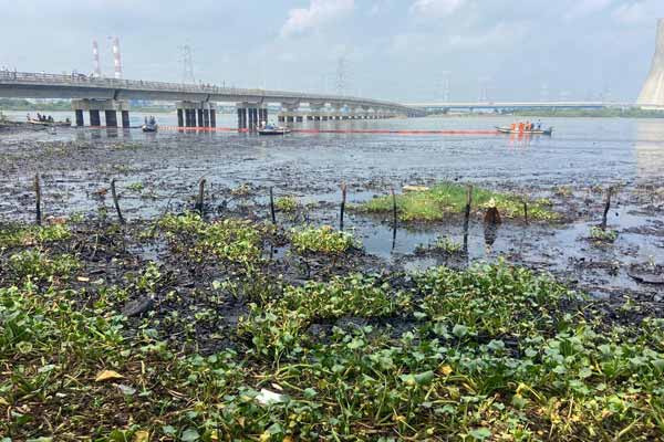 oil spill; Expert team visits Chennai