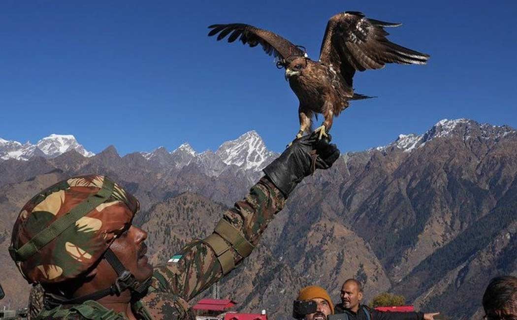 Indian Army training the Eagle shoot down drones