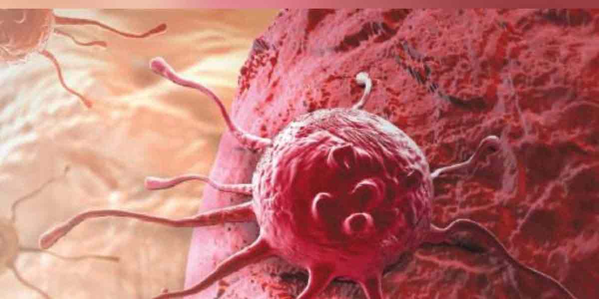 New peak in the medical field ... Discovery of a cure for cancer!