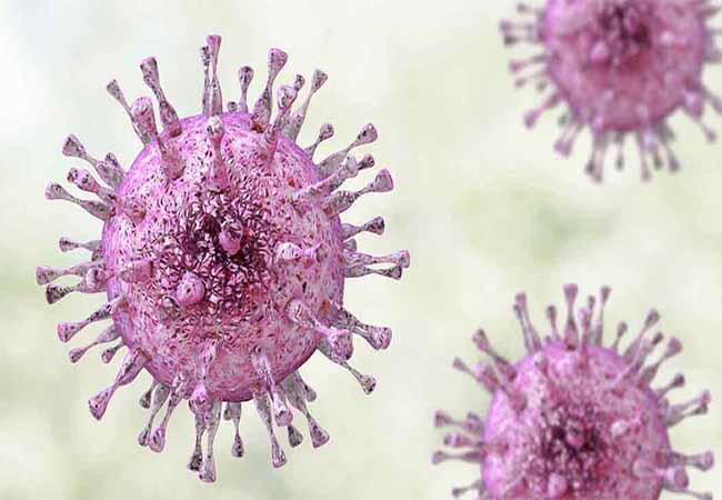 salem district china medical student coronovirus checking doctors