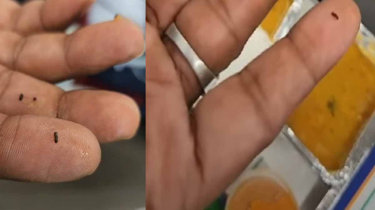 Beetle' in Vande Bharat Sambar - passengers shocked