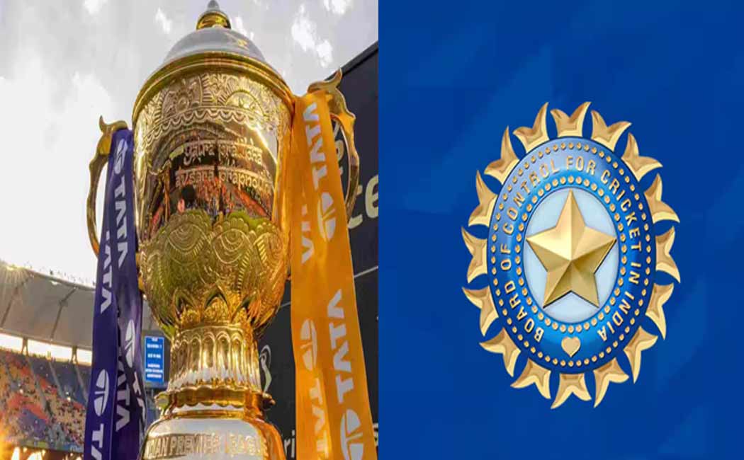 Do you know how much BCCI earned from the IPL 2025 series?