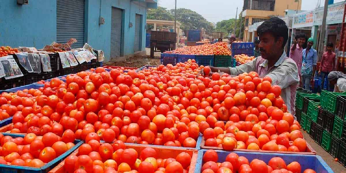 Low tomato price in Erode
