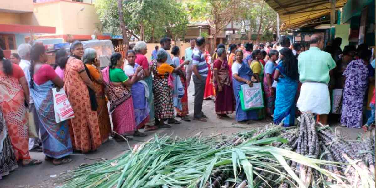 'Canes should be wrapped in a wet sack'-instruction to ration shop staff