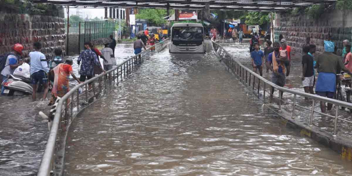 Ure flood forest .. but there is not a drop of water in this pond ...!