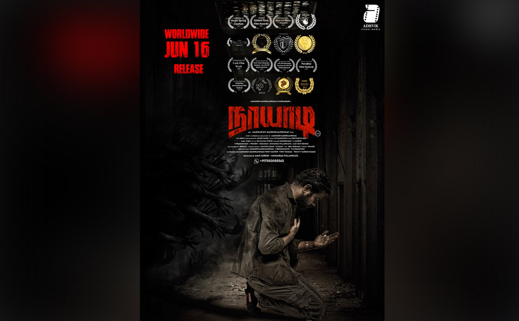 naayaadi movie director speech