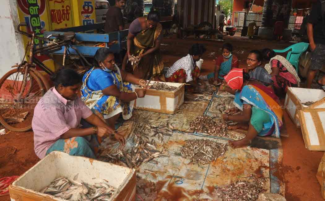 Chennai villivakkam are affected nivar cyclone people suffer