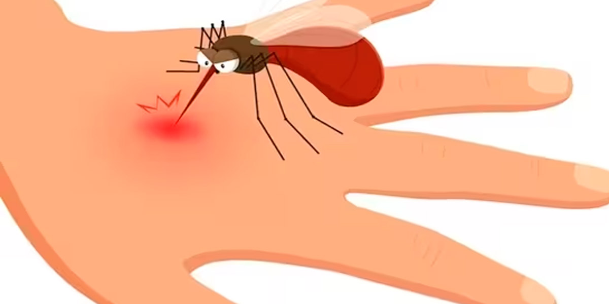 One more lost live of dengue fever;Puduvai