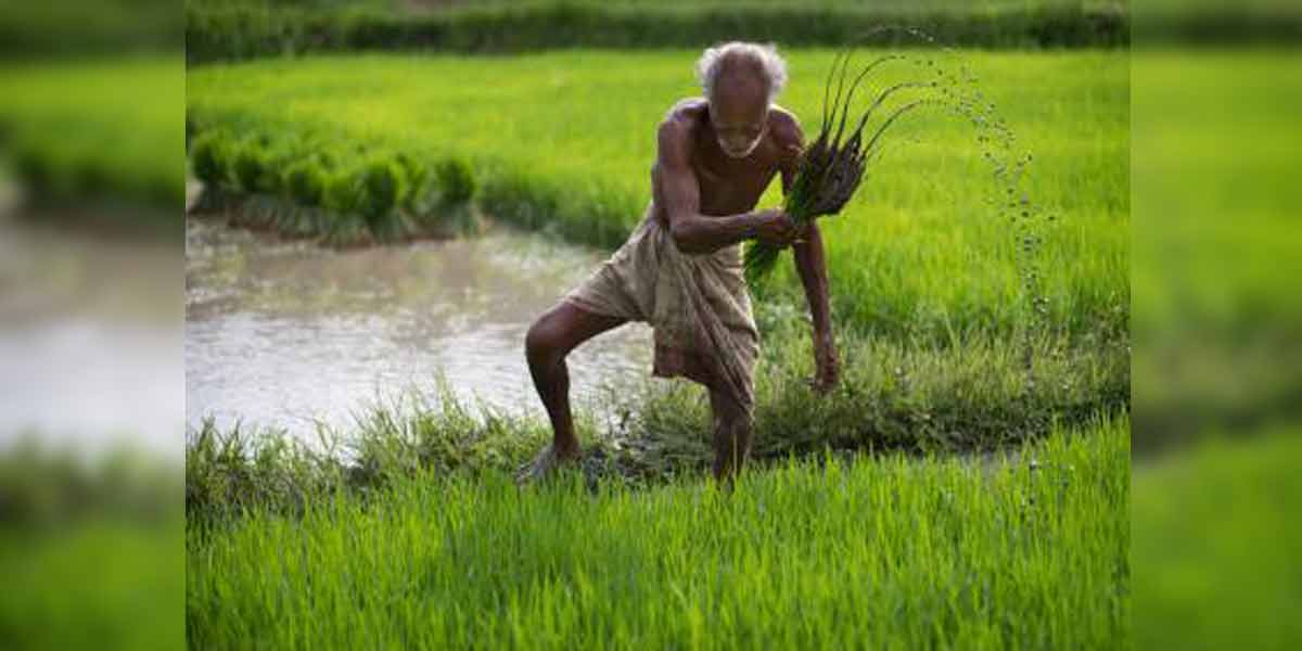 Tamil Nadu's first agriculture budget filed today!