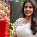 "He has something... a desire to marry Niththi"- Actress Priya Anand Bagheer!