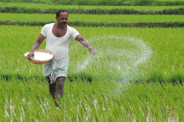farmers