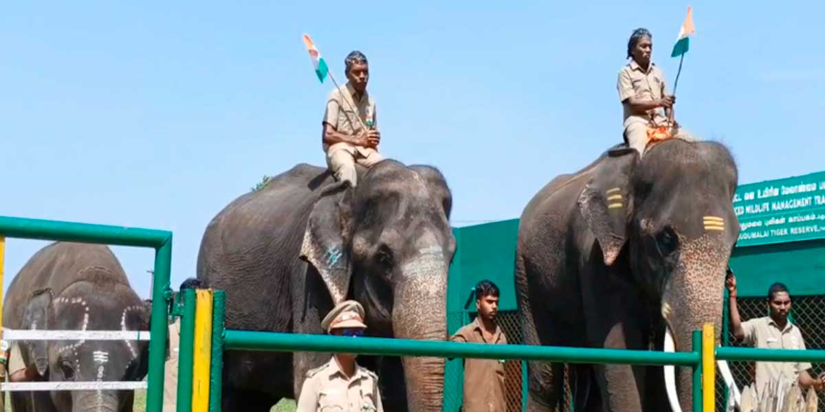 Independence Day Celebration at Theppakkad Elephant Breeding Camp
