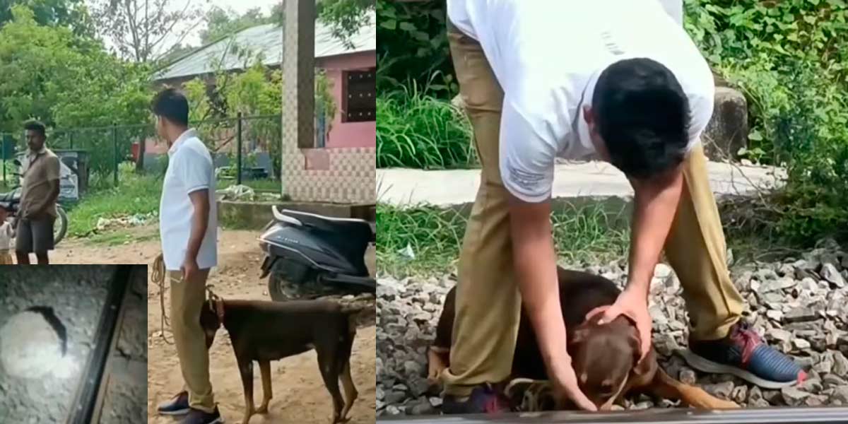 Conspiracy to overturn a train near Tirupattur?- Security forces gathered with sniffer dogs