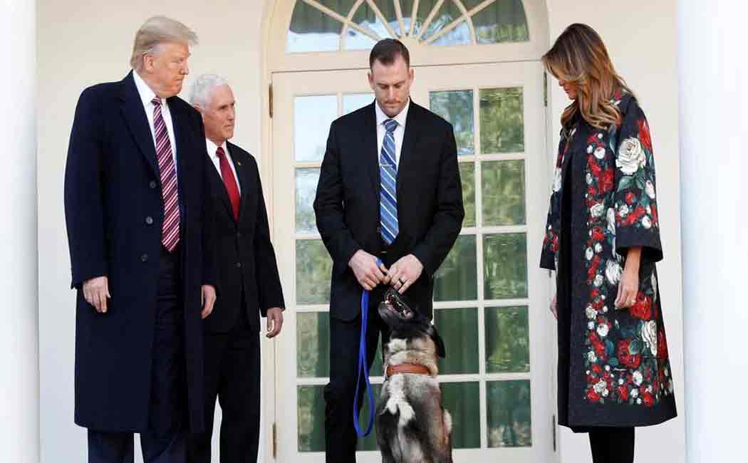 donald trump awards sniffing dog