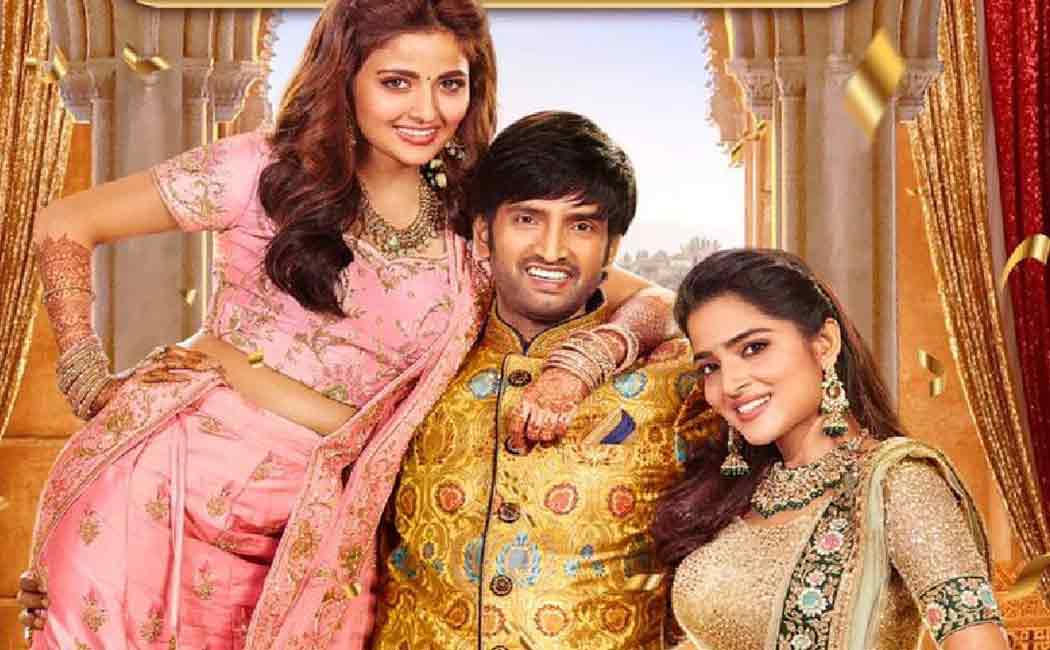 santhanam starring dikkiloona movie review