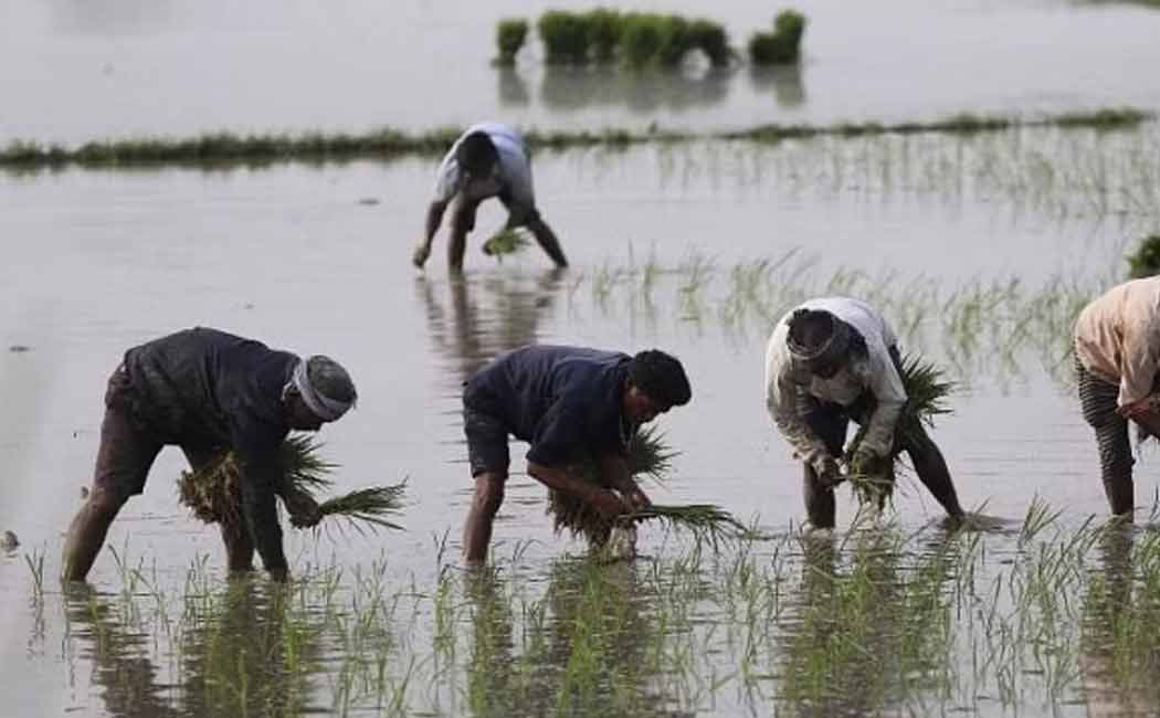 farmers said We will besiege the Erode Collector office as the water is not turned on