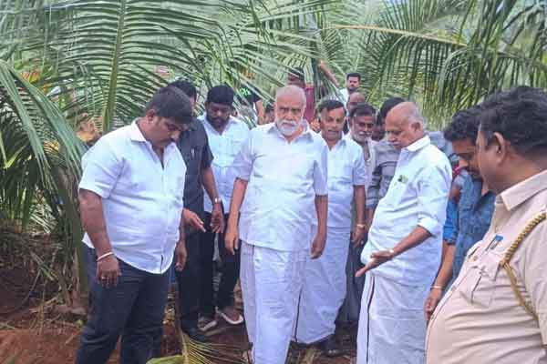 Minister I. Periyasamy says Steps will be taken to control elephants