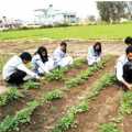 Agricultural courses suitable for all seasons