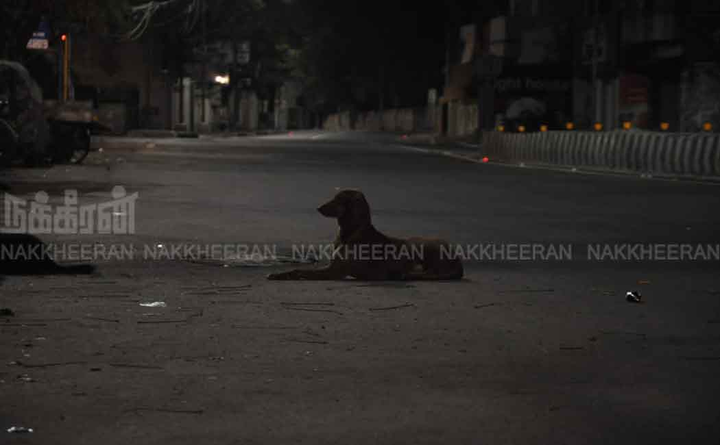 Night lockdown implemented in tamilnadu