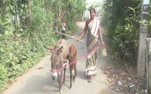 donkey milk