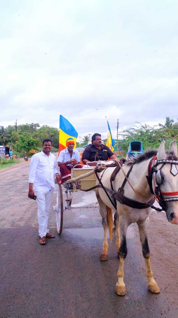 pmk