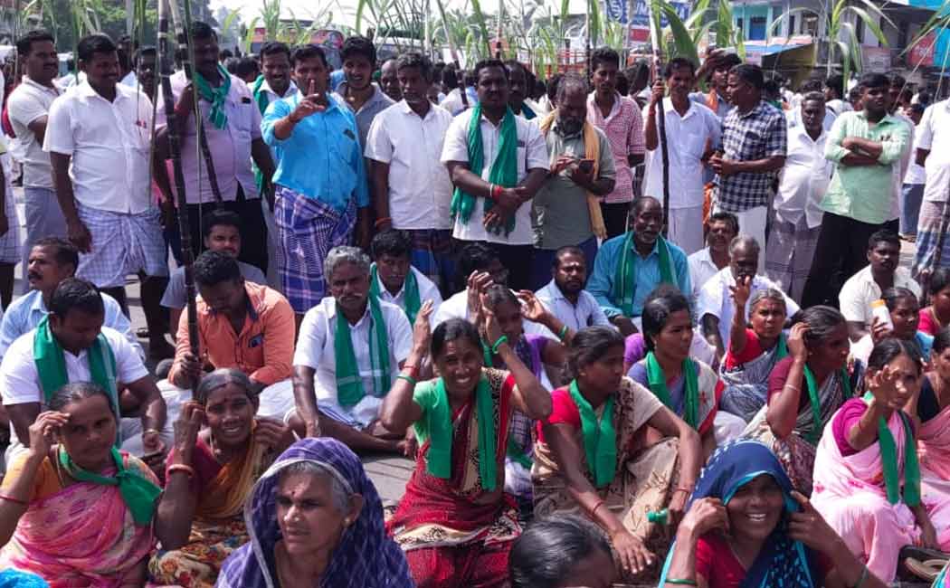 Farmers struggle lack of sugarcane in Pongal gift package!