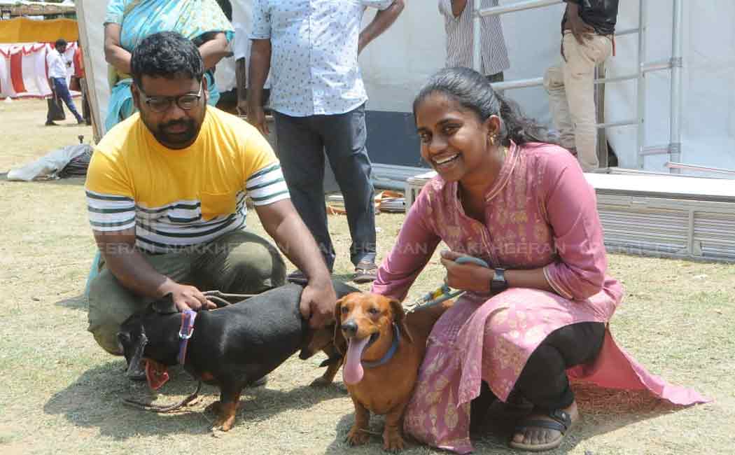 pet and dog show in chennai nandanam ymca ground