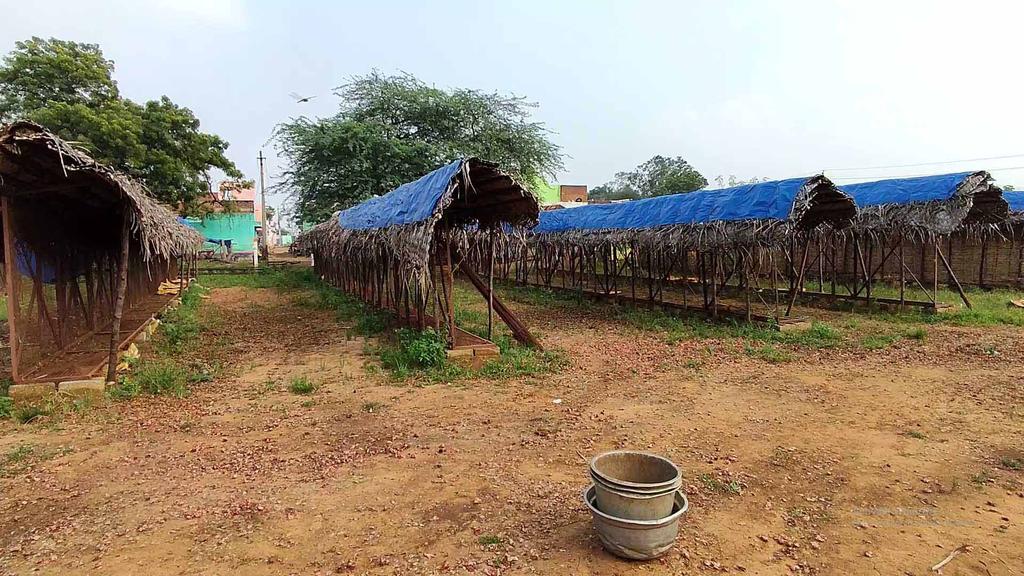 'Changing climate ... rising water level ..'. Southern District Climate!