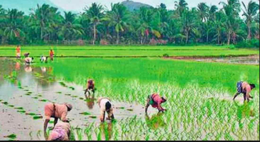Decision on DMK consultation meeting