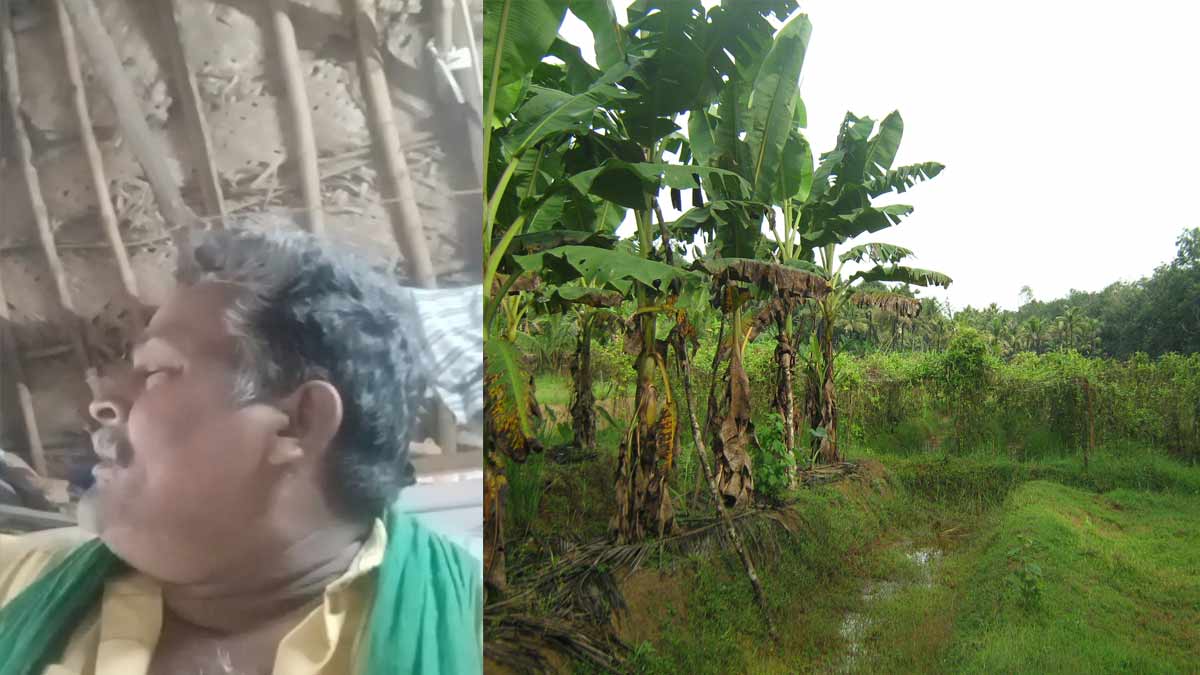 'The poor have not yet got their freedom' - farmer take shocking result after posting video