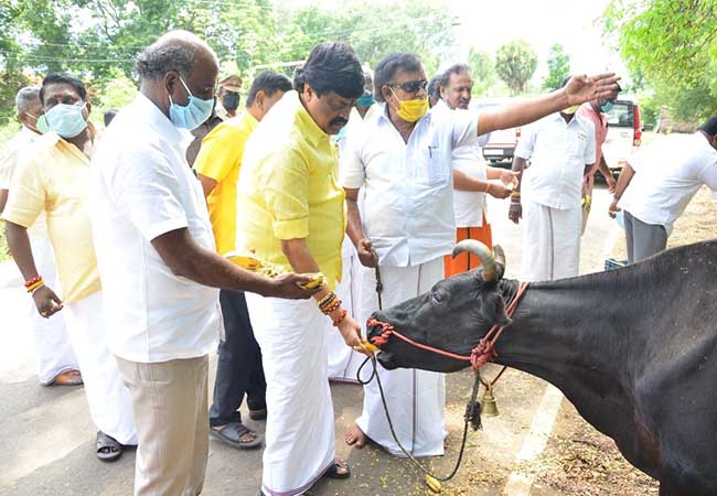 tamilnadu minister rajendra balaji provide foods for animals