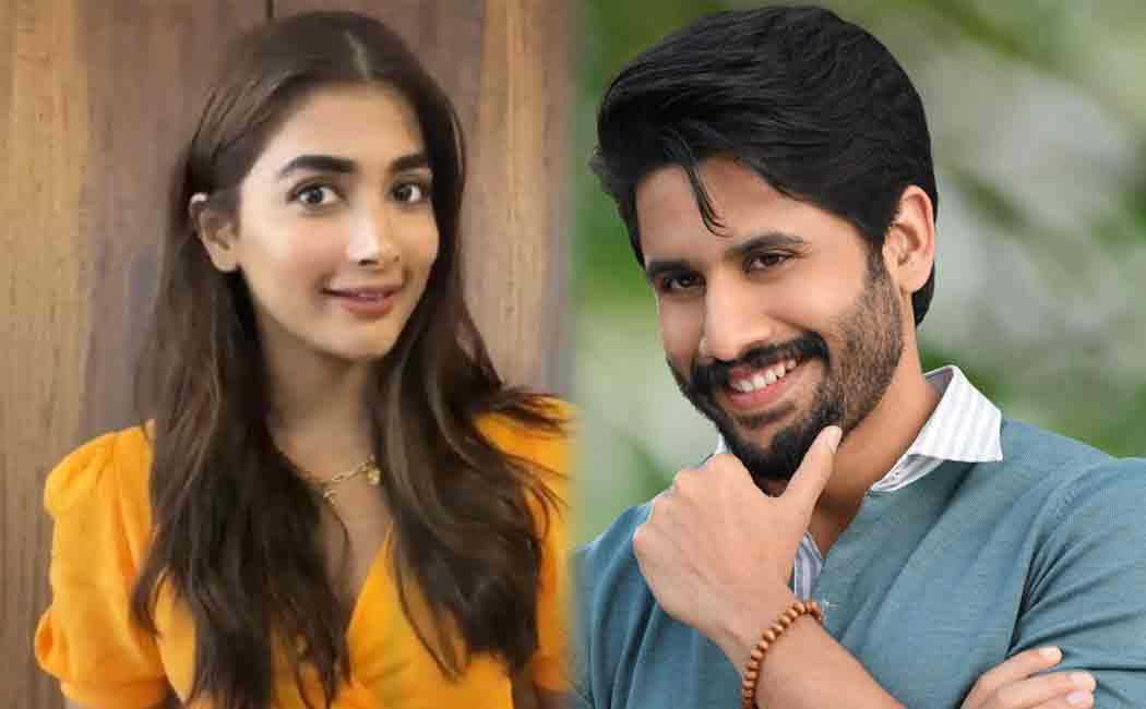 naga chaitanya and pooja hegde play maanaadu film telugu remake