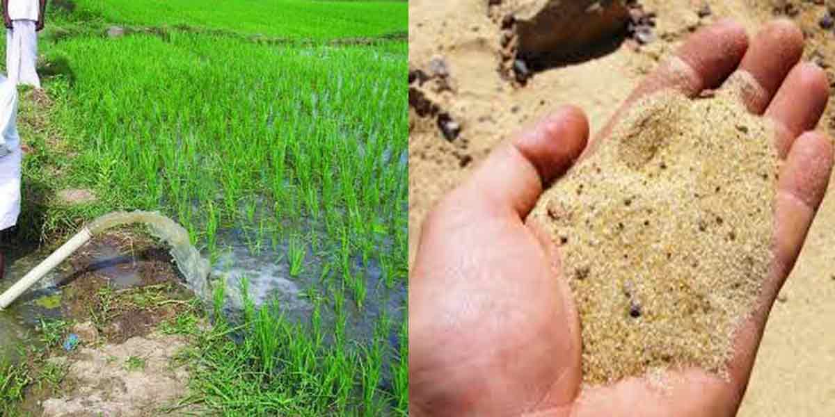 Half sand in mixed fertilizer for agriculture ...