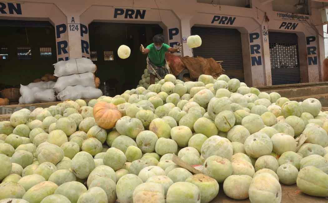 Deserted market; Wasted vegetables