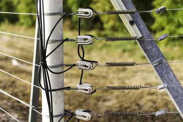Worker trapped in electric fence passes away