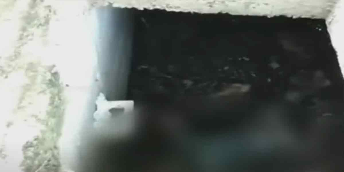 Missing boy found 5 days later ... tragic incident in Kengavalli!