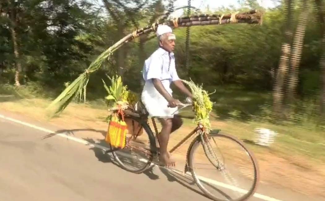 91 year old woman carrying Pongal gift her daughter home bicycle