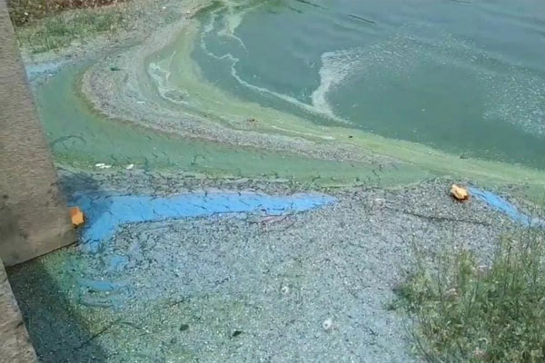 official informed that there is no chemical compound in Veeranam lake water